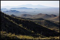 Desert mountains with saguaro-covered ridges. Saguaro National Park ( color)