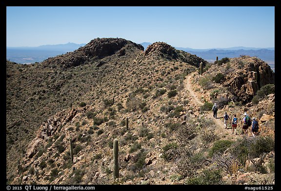 Hikers on trail below Wasson Peak. Saguaro National Park, Arizona, USA.