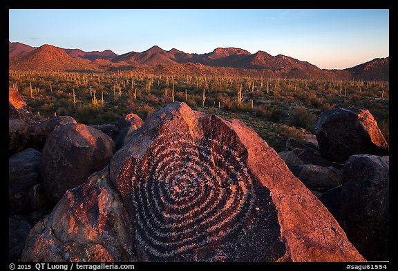 Petroglyphs on Signal Hill and Tucson Mountains at sunset. Saguaro National Park (color)