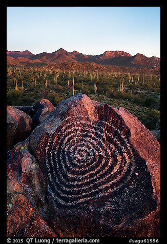 Spiral petroglyph and Tucson Mountains at sunset. Saguaro National Park (color)
