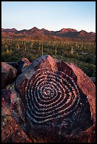Spiral petroglyph and Tucson Mountains at sunset. Saguaro National Park ( color)