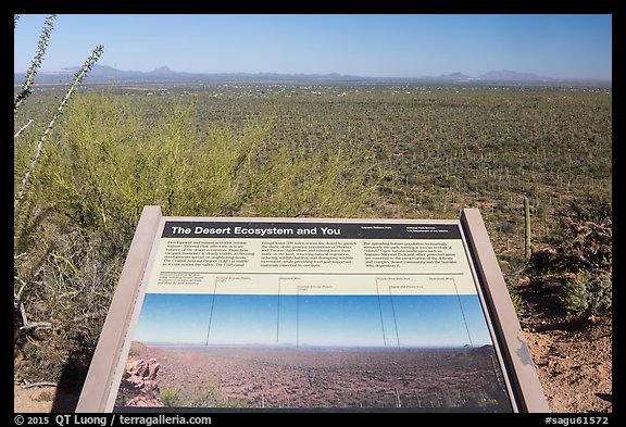 Desert Ecosystem interpretive sign. Saguaro National Park, Arizona, USA.
