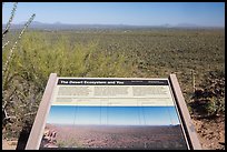 Desert Ecosystem interpretive sign. Saguaro National Park, Arizona, USA.