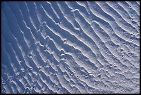 Close-up of ripples and bird tracks. White Sands National Park, New Mexico, USA.