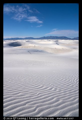 View from high dune,  Heart of the Sands. White Sands National Park (color)