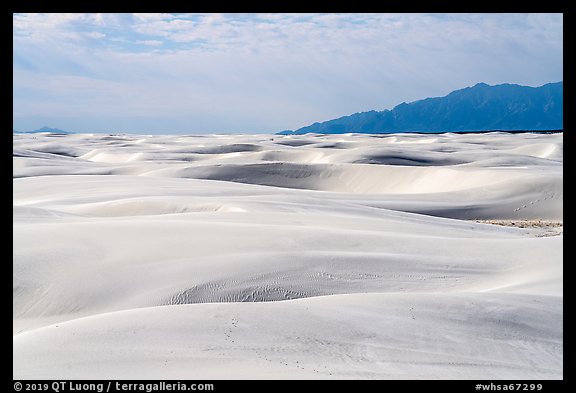 Worlds largest gypsum dune field. White Sands National Park (color)