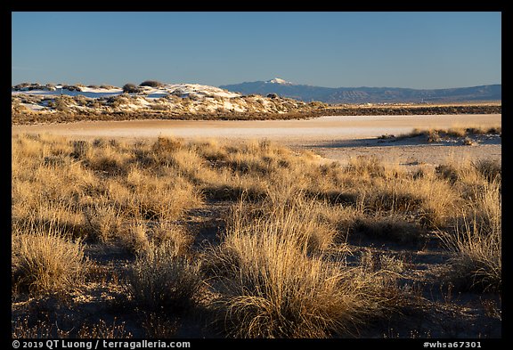 Shrubs, playa, and Sierra Blanca Peak. White Sands National Park, New Mexico, USA.