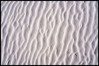 Close-up of dune ripples and kangaroo rat tracks. White Sands National Park ( color)