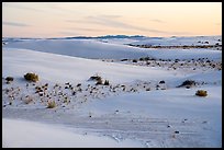 Dunes and interdunal depressions at sunset. White Sands National Park ( color)