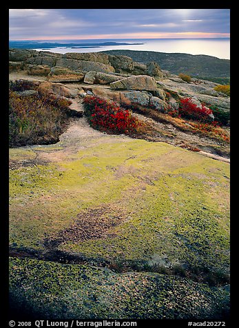 View over Atlantic from top of Mt Cadillac with granite slab covered with lichen. Acadia National Park, Maine, USA.