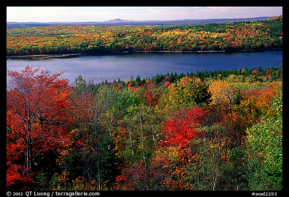 Eagle Lake and autumn colors. Acadia National Park (color)