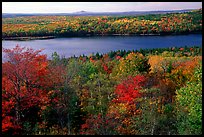 Eagle Lake and autumn colors. Acadia National Park, Maine, USA.
