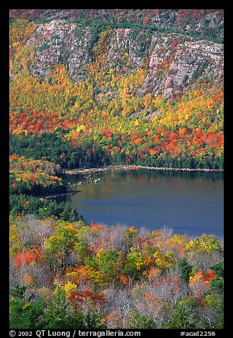 Eagle Lake, surrounded by hillsides covered with colorful trees in fall. Acadia National Park (color)