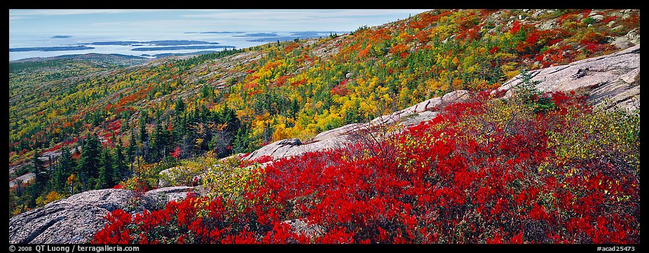 Autumn landscape with brightly colors shrubs and trees. Acadia National Park (color)