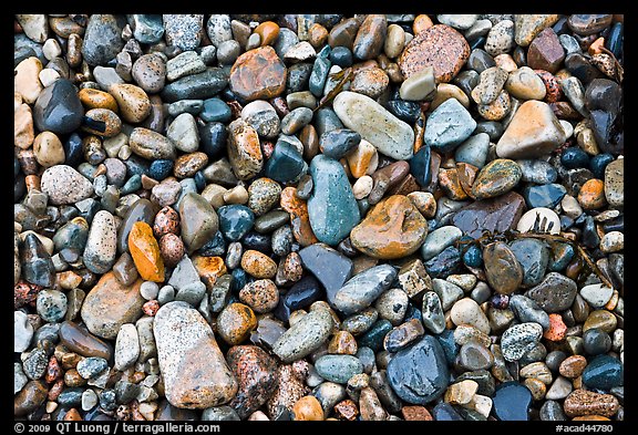 Wet pebbles, Hunters beach. Acadia National Park, Maine, USA.