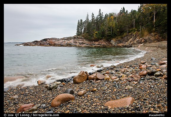 Hunters cove in rainy weather. Acadia National Park, Maine, USA.