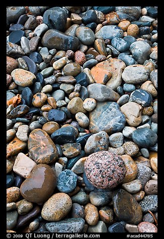 Close-up of multicolored pebbles. Acadia National Park, Maine, USA.