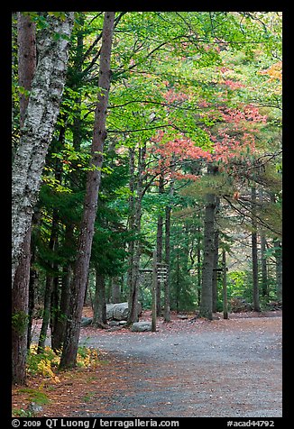 Trail marker signs in the fall. Acadia National Park, Maine, USA.