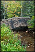 Stone bridge over stream. Acadia National Park, Maine, USA.