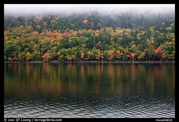 Trees in fall colors reflected in Jordan Pond. Acadia National Park (color)