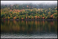 Trees in fall colors reflected in Jordan Pond. Acadia National Park, Maine, USA.
