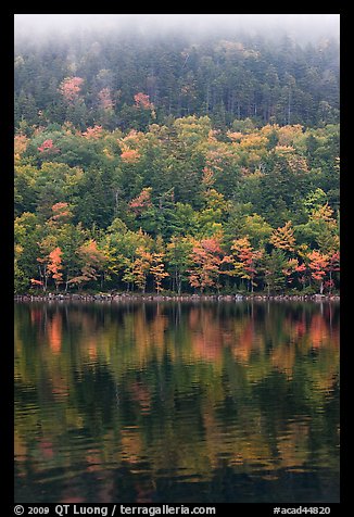Hillside in autumn foliage mirrored in Jordan Pond. Acadia National Park, Maine, USA.