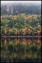 Hillside in autumn foliage mirrored in Jordan Pond. Acadia National Park, Maine, USA.