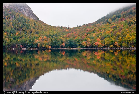 Hill curve and trees in fall foliage reflected in Jordan Pond. Acadia National Park, Maine, USA.