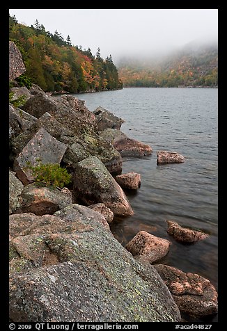 Rocky shore in autumn, Jordan Pond. Acadia National Park, Maine, USA.