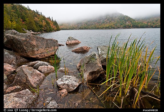 Jordan pond shore in a fall misty day. Acadia National Park (color)
