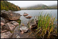 Jordan pond shore in a fall misty day. Acadia National Park, Maine, USA.