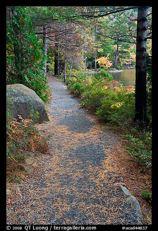 Trail in the fall on the shore of Jordan Pond. Acadia National Park, Maine, USA.