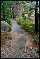 Trail in the fall on the shore of Jordan Pond. Acadia National Park, Maine, USA.