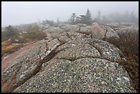 Lichen-covered slabs in the heavy mist, Mount Cadillac. Acadia National Park, Maine, USA. (color)