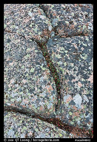 Granite slab with cracks and lichen, Mount Cadillac. Acadia National Park, Maine, USA.