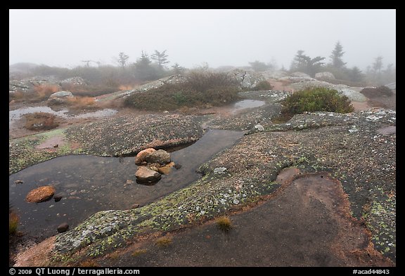 Water-filled holes in granite slabs and fog, Cadillac Mountain. Acadia National Park (color)