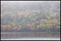 Foggy autumn slopes, Jordan Pond. Acadia National Park, Maine, USA.