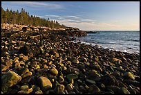 Coastline with boulders, late afternoon, Schoodic Peninsula. Acadia National Park, Maine, USA.
