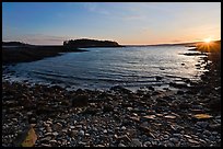 Cove and Pond Island, sunset, Schoodic Peninsula. Acadia National Park, Maine, USA.