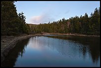 Pond and trees, Schoodic Peninsula. Acadia National Park, Maine, USA.