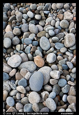 Close-up of smooth pebbles, Schoodic Peninsula. Acadia National Park (color)