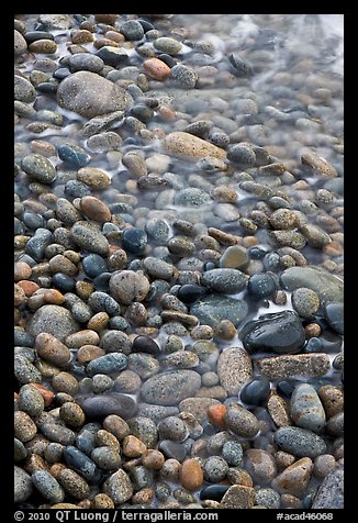 Close-up of pebbles and water, Schoodic Peninsula. Acadia National Park, Maine, USA.