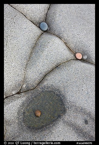 Close-up of pebbles and rock cracks, Schoodic Peninsula. Acadia National Park, Maine, USA.