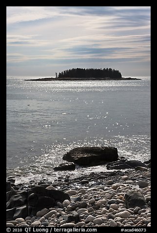 Rolling Island, Schoodic Peninsula. Acadia National Park, Maine, USA.