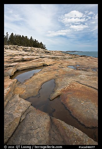 Slabs and puddles near Schoodic Point. Acadia National Park (color)