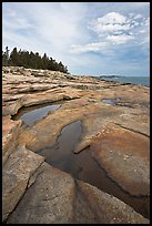 Slabs and puddles near Schoodic Point. Acadia National Park, Maine, USA.