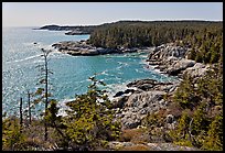 Coastline seen from Goat Trail, Isle Au Haut. Acadia National Park, Maine, USA. (color)