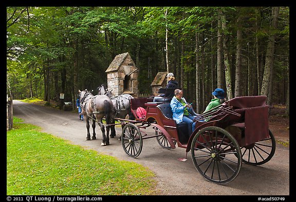 Horse carriage. Acadia National Park, Maine, USA.