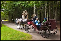 Horse carriage. Acadia National Park, Maine, USA.