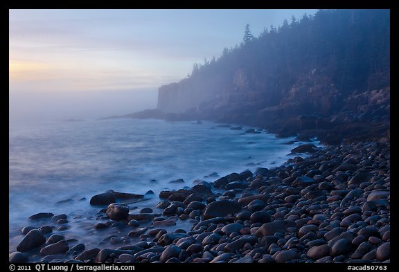Otter cliff and cobblestones on misty morning. Acadia National Park, Maine, USA.